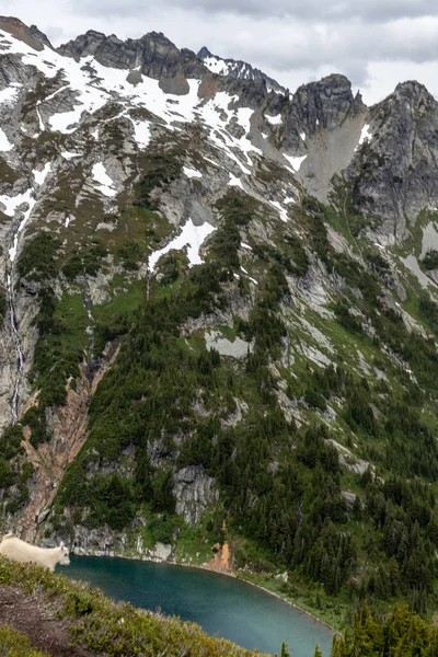 Yeni Zelanda Günbatımı Seyahat Macerası ve Kuzey Şelaleleri Ulusal Parkı.