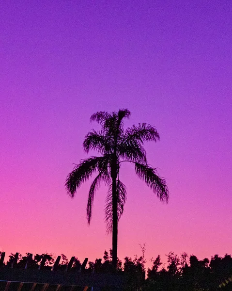 San Diego Uzun Süre Sahne Işıkları — Stok fotoğraf