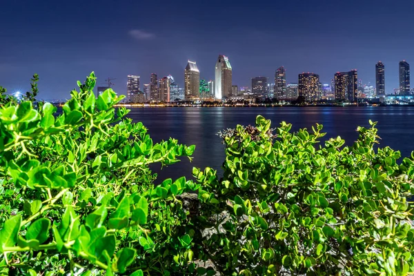 San Diego Natt Lång Exponering Scen Stadsljus — Stockfoto