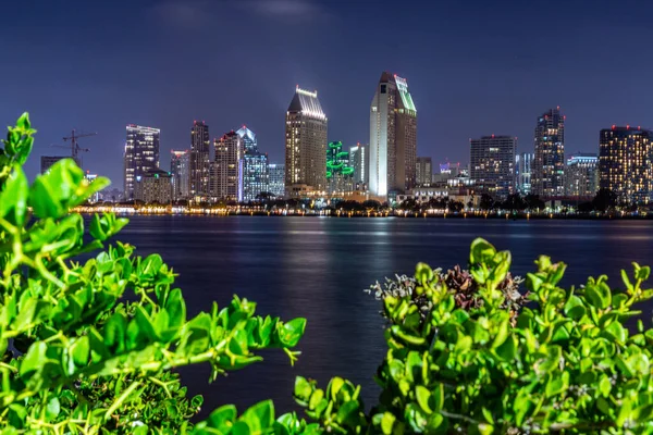 San Diego Natt Lång Exponering Scen Stadsljus — Stockfoto