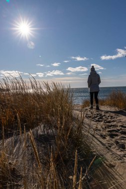 Sonbahar ve kışın New England plaj sahnesi.