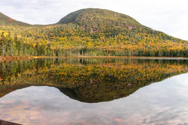New Hampshire 'ın Beyaz Dağları' nda yürüyüş yapmak..