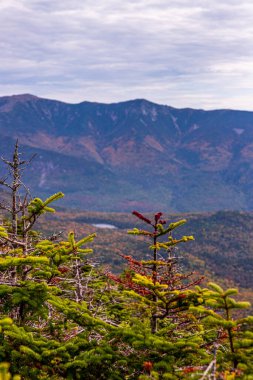 New Hampshire 'ın Beyaz Dağları' nda yürüyüş yapmak..