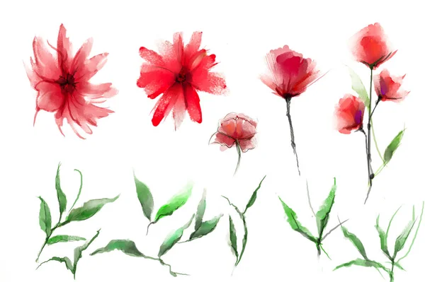 Acuarela abstracta pintura flor y hoja. Ilustración aislada de primavera, flores de verano diseño de pintura sobre fondo blanco . —  Fotos de Stock