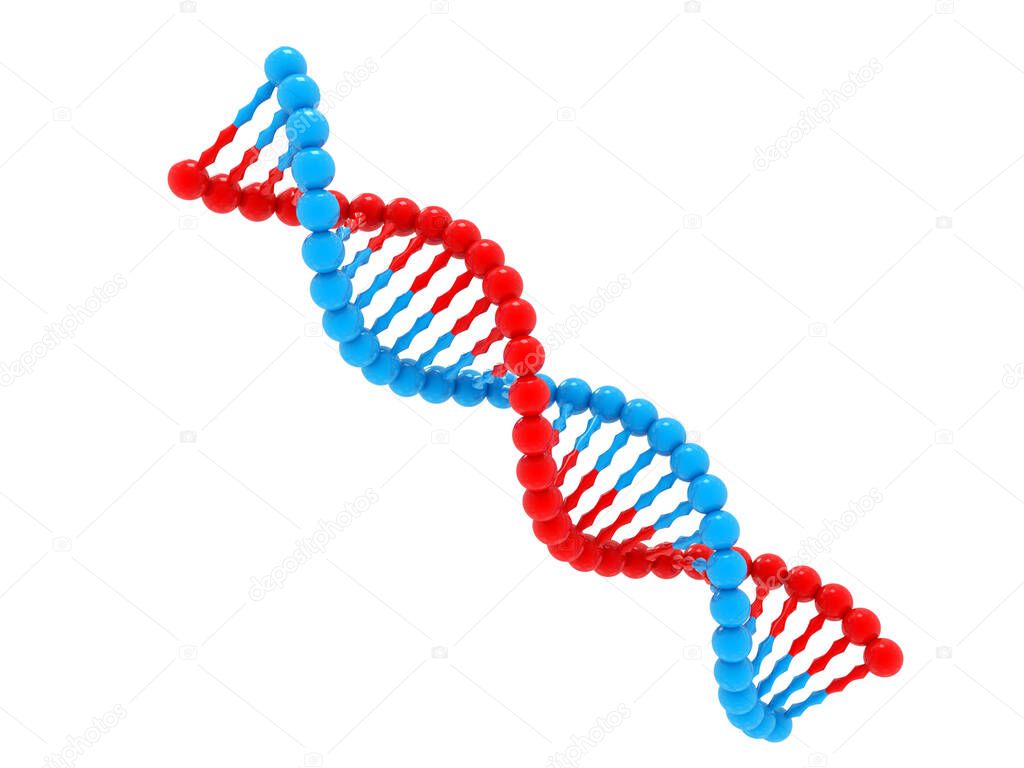 DNA molecule isolated in white background, Concept of biochemistry, Medial and Healthcare. 3d rendering