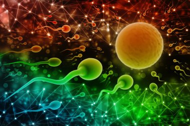 Bilimsel arka planda sperm ve yumurta hücresi. İnsan üreme kavramı. 3d illüstrasyon