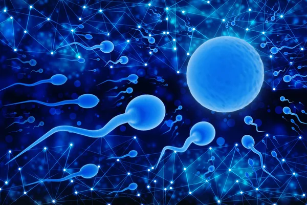 Sperma Vajíčka Vědeckém Pozadí Lidská Reprodukční Koncepce Ilustrace — Stock fotografie