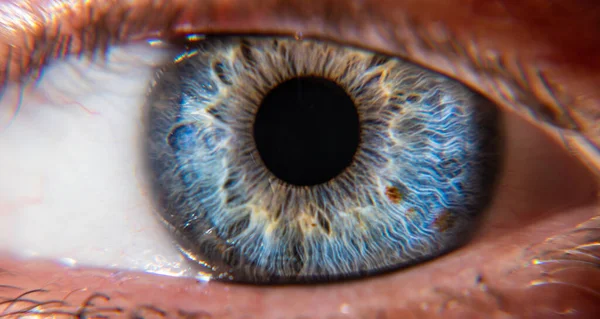 Primer plano ojos azules con un toque de amarillo Fotos de stock