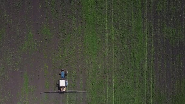 农村技术处理害虫的田间作业 — 图库视频影像