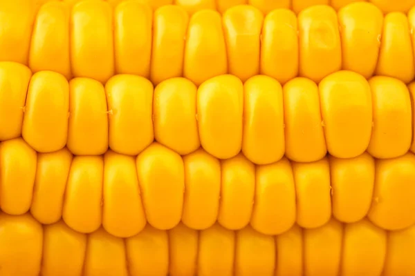 Yellow juicy corn close up — Stock Photo, Image