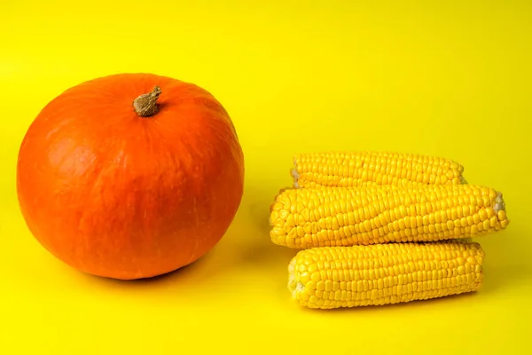 즙이 많고 노란 익은 옥수수가 들어 있는 오렌지 호박 — 스톡 사진
