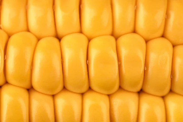 Sárga lédús kukorica közelről — Stock Fotó