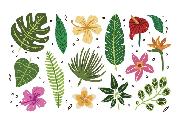 Summer set of tropical leaves — Stock Vector