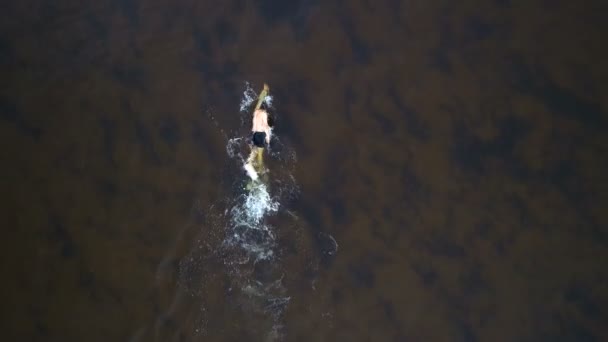 Hombre Nadando Agua Quadrocopter Tiro — Vídeos de Stock