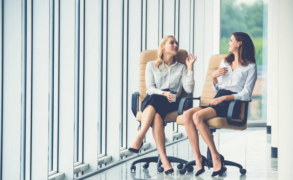 The smile businesswomen on chairs talk near the office window