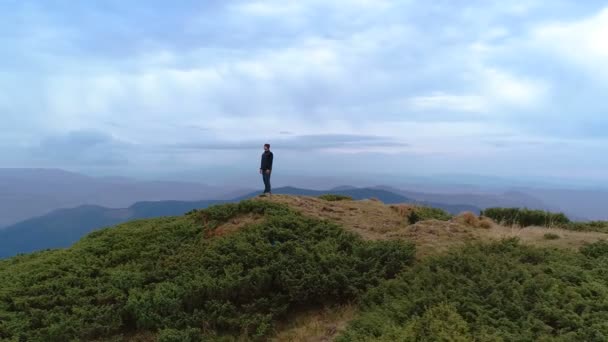 Hanen Står Berget Med Ett Naturskönt Landskap — Stockvideo