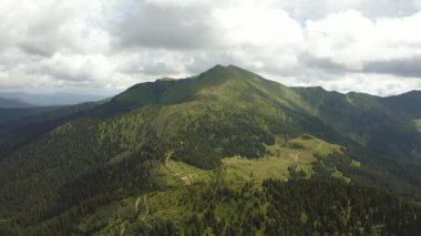 Dağ ormanının üzerindeki uçuş. Hiperlapse