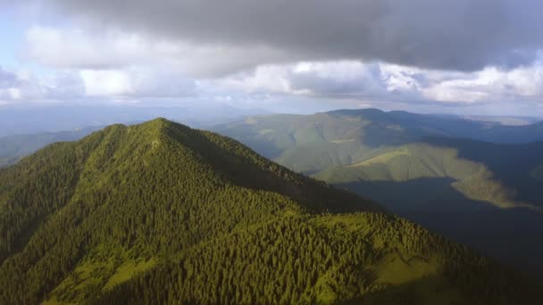 带着绿色的森林在山上飞行 — 图库视频影像