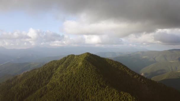 在高山森林上空的云雾中飞行 — 图库视频影像