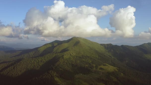 Voo Acima Floresta Montanhosa Hiperlapso — Vídeo de Stock