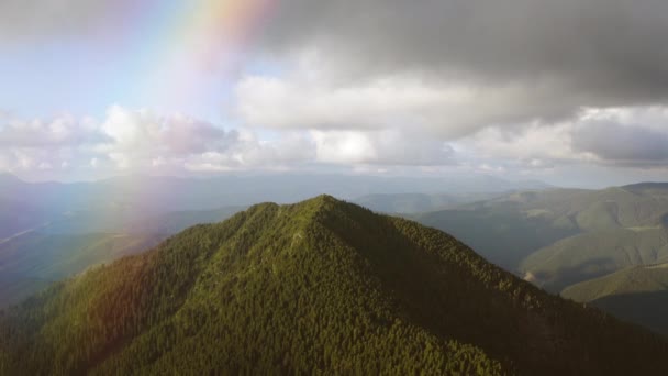 在彩虹背景上的高山森林上空飞行 — 图库视频影像