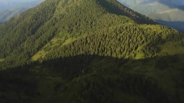 Resimli bir dağ ormanının üzerindeki uçuş. Hiperlapse