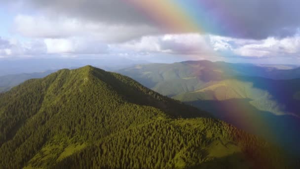 在彩虹背景下的高山森林上空飞行 — 图库视频影像