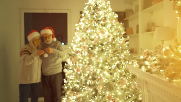 Pareja Ancianos Decoran Árbol Hristmas — Vídeos de Stock