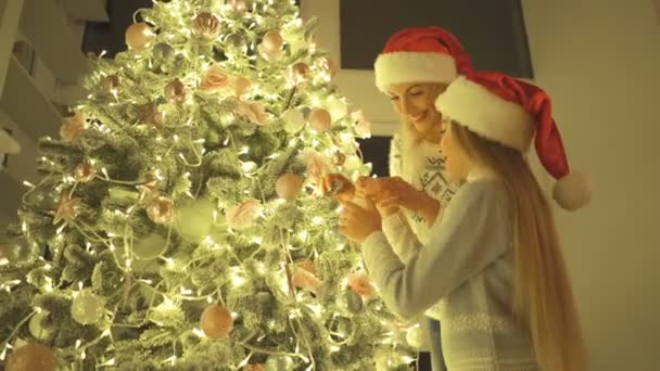 Μητέρα Και Κόρη Στολίζουν Χριστουγεννιάτικο Δέντρο — Αρχείο Βίντεο