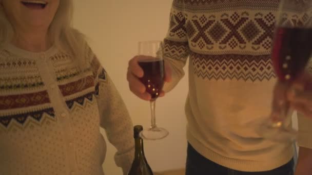 幸福的一家人在圣诞树旁喝酒 — 图库视频影像