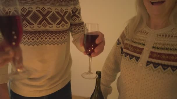 Familia Feliz Bebiendo Vino Tinto Cerca Del Árbol Navidad — Vídeo de stock