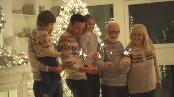 Die Familie Steht Mit Schönen Wunderkerzen Auf Dem Weihnachtsbaum — Stockvideo