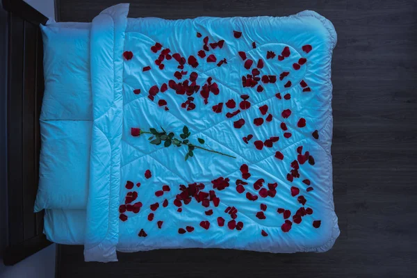 The bed with rose petals and a flower. evening night time, view from above
