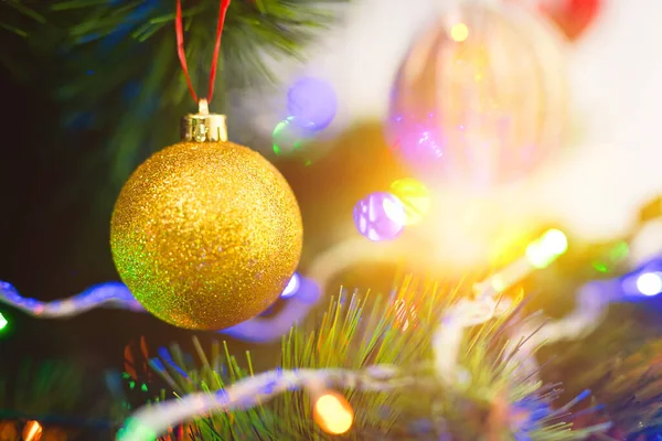 The color decoration on christmas tree on the bright light background