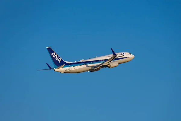 Tokio Japonia Feb 2019 Ana Boeing 737 800 Startu Lotniska — Zdjęcie stockowe