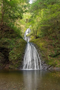 Atera Seven Falls 'un (Atera-No-Nanataki) Aichi, Japonya' daki manzarası.