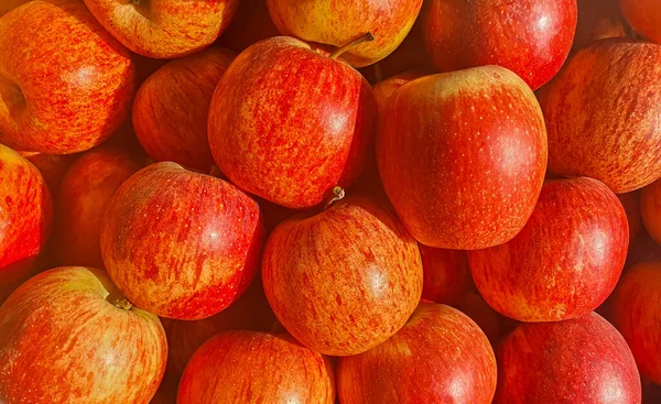 Close Apples Stack Ripe Red Fresh South Asian Apples Gathered — Stock Photo, Image