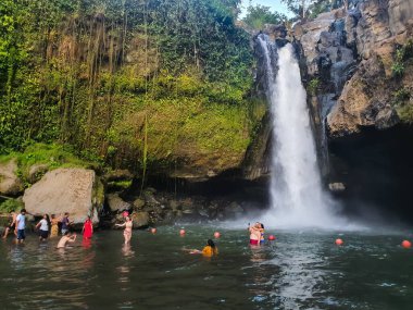 Bali,Indoneisa-02/11/2020:People enjoying their vacation tour while bathing on Tegenungan waterfall, famous tourist spot in Bali, Indonesia. clipart