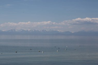 Büyük Deniz Baykal, Rusya Federasyonu
