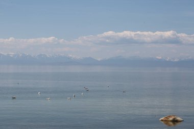 Büyük Deniz Baykal, Rusya Federasyonu