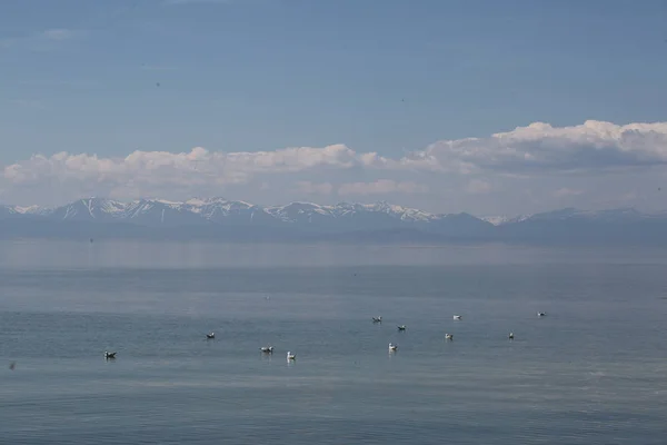 Danau besar Baikal, Rusia — Stok Foto