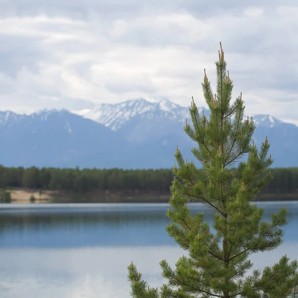 The great lake Baikal, Russia — Stock Photo, Image