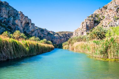 Preveli palmiyesi, Girit Adası, Yunanistan 'da gizli bir koy. Çevrede doğa ve yeşil, Libya denizinde kumlu sahil ve nehir. Turistler için görülmesi gereken. 