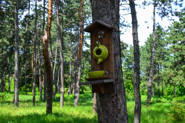ティーポットとカップの形をした鳥のフィーダー 公園内の木にフィーダーが設置されています 野生の鳥の世話 家庭や食べ物 春の鳥の巣 — ストック写真