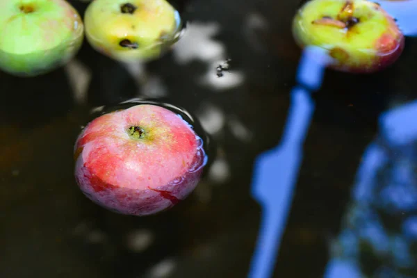 Fresh Red Apples Floating Water Container — Stock Photo, Image