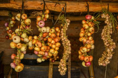 Hasat et. Köydeki bir ahırda soğanlar kurutuluyor..