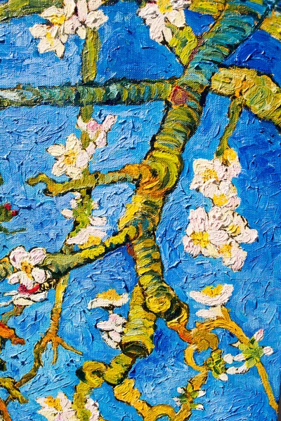 Textura Lona Pinceladas Detalhes Árvore Amêndoa Florescente Pintura Óleo Sobre — Fotografia de Stock