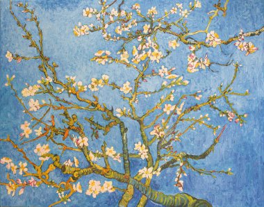 Çiçekli Badem Ağacı. Tuval üzerinde güzel bir yağlı boya tablo. Van Gogh 'un 1890' daki büyük resminden uyarlanmıştır. Fırça darbeleri ve branda dokuları .