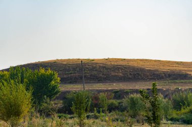 Parlak mavi gökyüzü altında çimenleri ve çalıları olan yemyeşil çayırlar barışı, doğayı ve kırsal çekiciliği çağrıştırıyor. Arkaplan ve eko-temalı tasarımlar için mükemmel