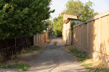 Gölgeli, uzun duvarlar arasında dar asfaltsız bir ara sokak, sarkık ağaçlar ve uzak konut binaları, sabahın erken saatlerinde yeşil ve şehir altyapısının karşıtlığını yakalıyor.